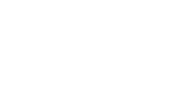 VectorLink AI Consultants